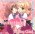 Flyable Heart - Trading Card Pack