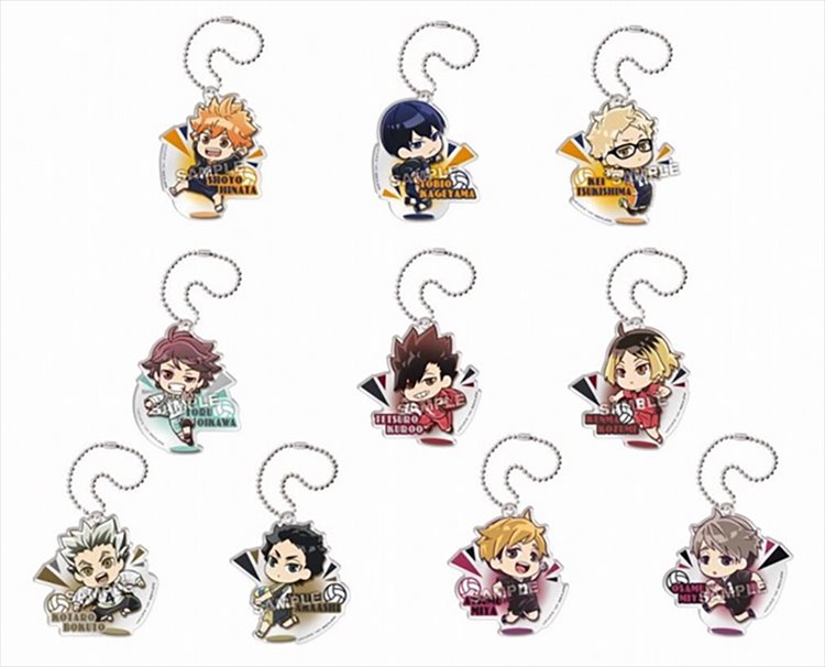 Haikyuu - Acrylic Keychain SINGLE BLIND BOX