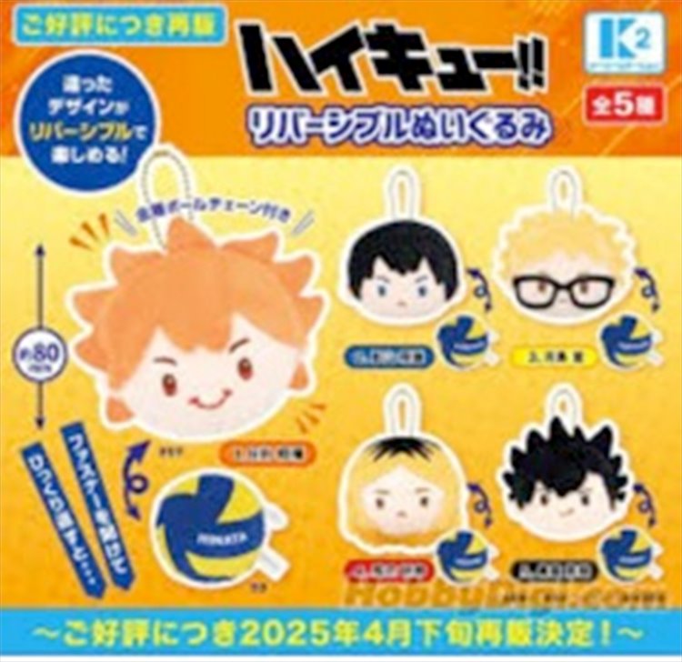 Haikyuu - Dual Purpose Storage Bag Vol. 1 SINGLE BLIND BOX CAPSULE