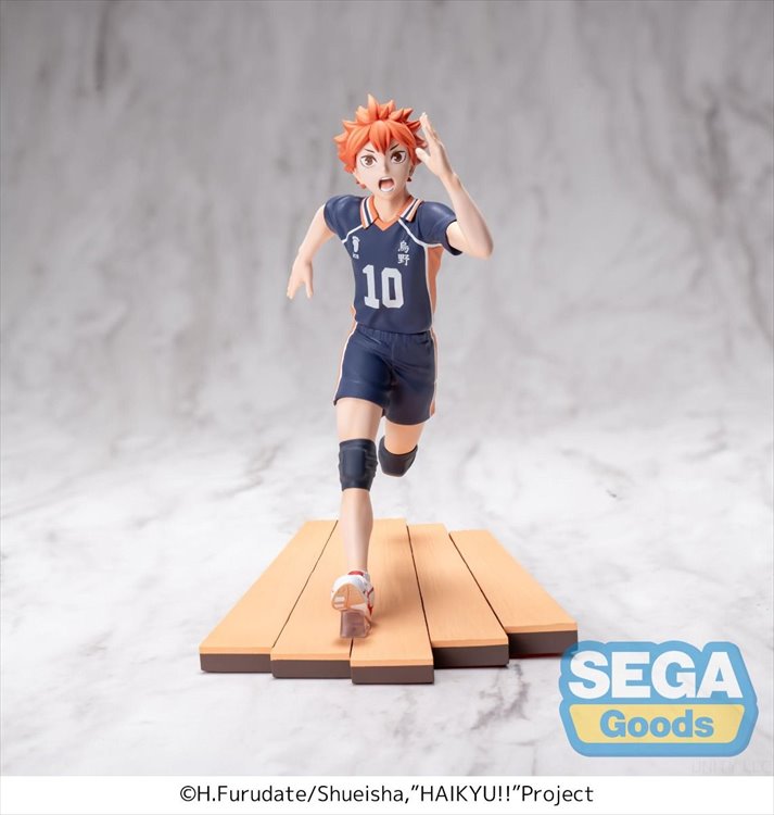Haikyuu - Shoyo Hinata