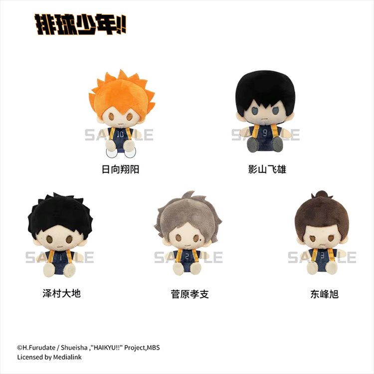 Haikyuu - Pearl Velvet Pin Doll Vol. 1 SINGLE BLIND BOX