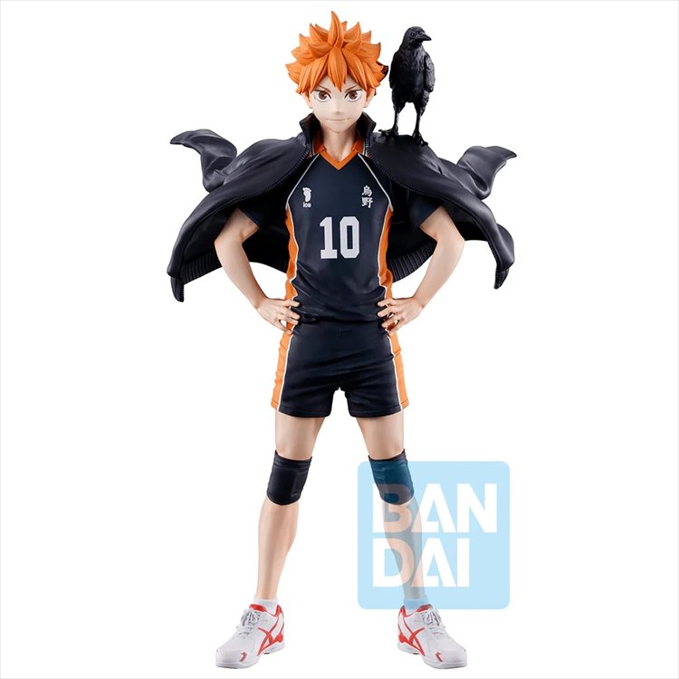 Haikyuu - Shoyo Hinata The Future of Karasuno