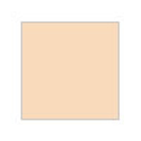 Mr Color - C 111 Character Flesh 1