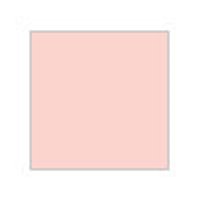 Mr Color - C 112 Character Flesh 2
