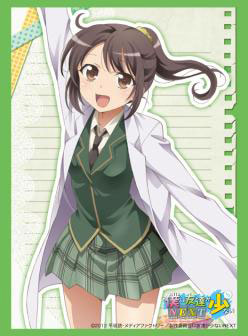 Bushiroad Sleeve Collection - HG Vol.494 - Boku wa Tomodachi ga Sukunai NEXT - Rika Shiguma Bushiroad Sleeve Collection - HG Vol.494 - Boku wa Tomodachi ga Sukunai NEXT - Rika Shiguma