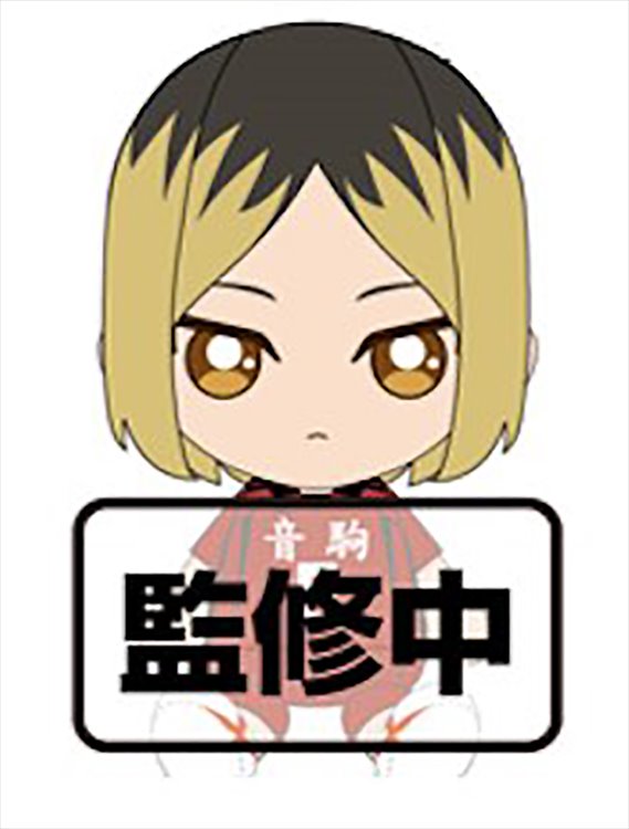 Haikyuu - Kenma Kozume 14cm Plush