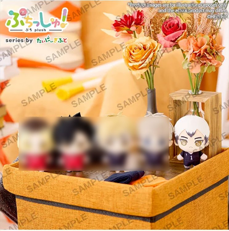 Haikyuu - 12cm Plush Vol. 2 Shinsuke Kita
