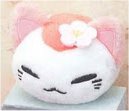 Nemu Neko - Neko with Flowers A