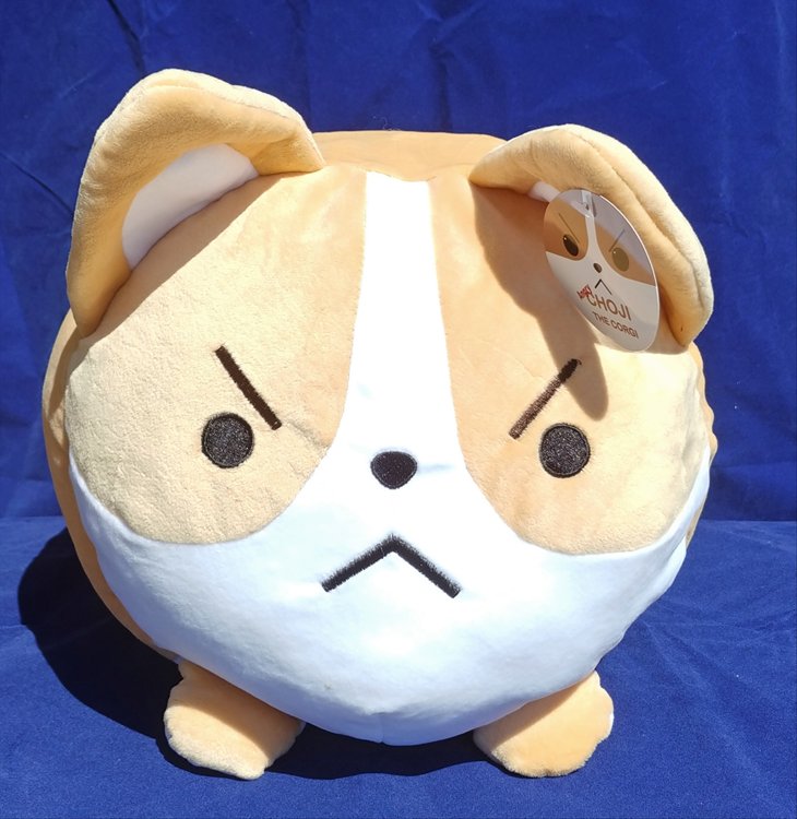 Aniji Dogs - Choji Corgi Dog Angry 35cm Plush