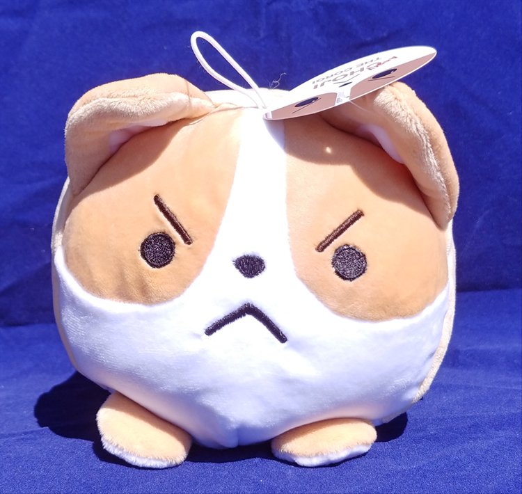 Aniji Dogs - Choji Corgi Dog Angry 18cm Plush