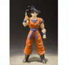 Dragon Ball Z - Son Goku A Saiyan Raided on Earth S.H.Figuarts