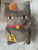 Natsume Yuujinchou Book of Friends - Riou 24cm Plush