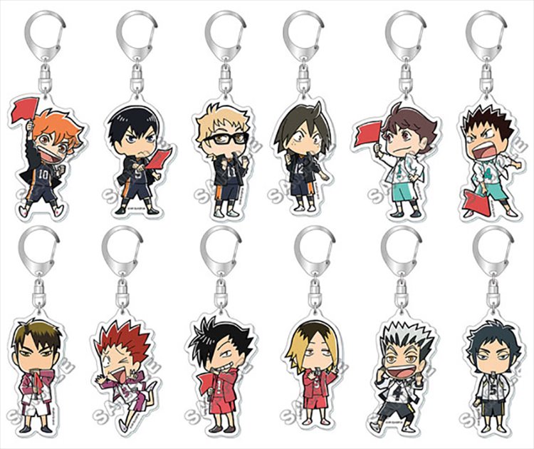 Haikyuu - Acrylic Keychain SINGLE BLIND BOX