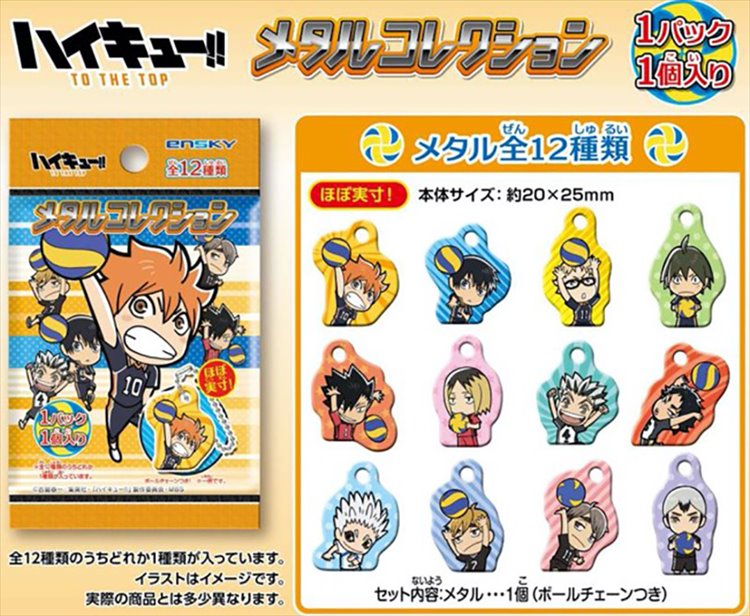 Haikyuu to the top - Metal Keychain SINGLE BLIND BOX