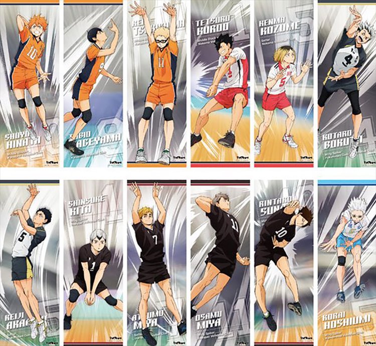 Haikyuu - Chara Pos Collection Vol. 2 SINGLE BLIND BOX