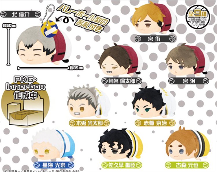 Haikyuu to the Top - Hugcoro Vol. 1 Mascot Figure SINGLE BLIND BOX  [TL300835311] : ToysLogic, Otaku for LIFE