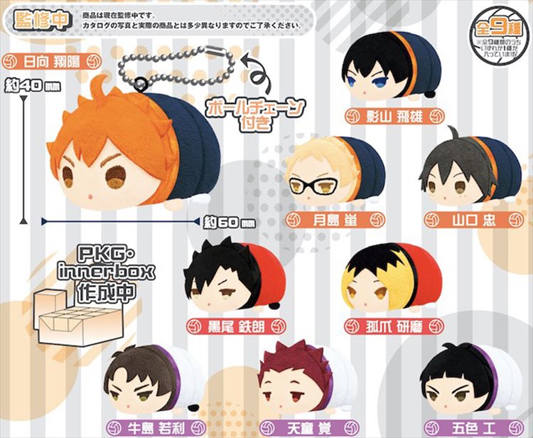 Haikyuu - Mochimochi Mascot Mini Vol. 1 SINGLE BLIND BOX