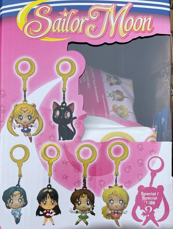 Sailor Moon - Hangers Keychain SINGLE BLIND BOX - Click Image to Close