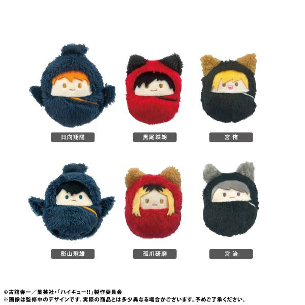 Haikyuu - Kurumi Tapinui Vol. 1 SINGLE BLIND BOX