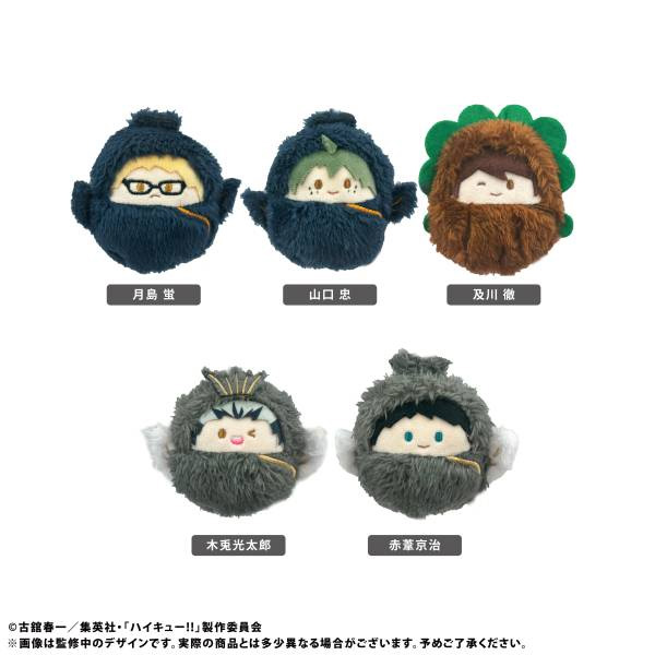 Haikyuu - Kurumi Tapinui Vol. 2 SINGLE BLIND BOX
