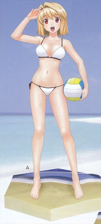 Carnival Phantasm - Melty Blood Arcueid Summer Beach Sega EX Figure