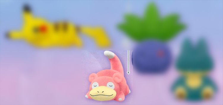 Pokemon - Slowpoke Sleeping Plush - Click Image to Close