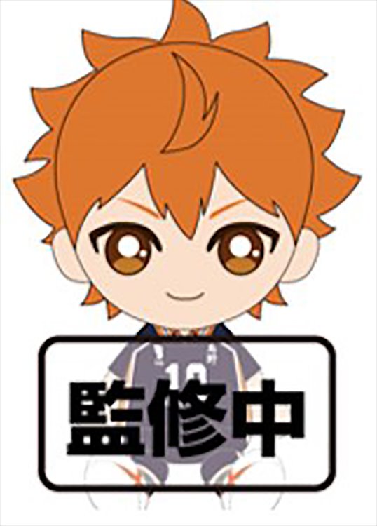 Haikyuu - Shoyo Hinata 14cm Plush