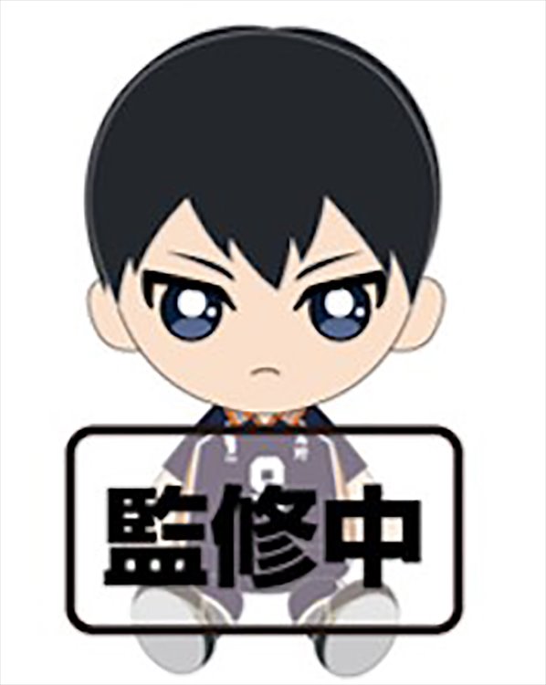 Haikyuu - Tobio Kageyama 14cm Plush - Click Image to Close